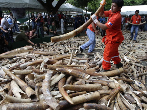 china-tanzania-ivory.jpg