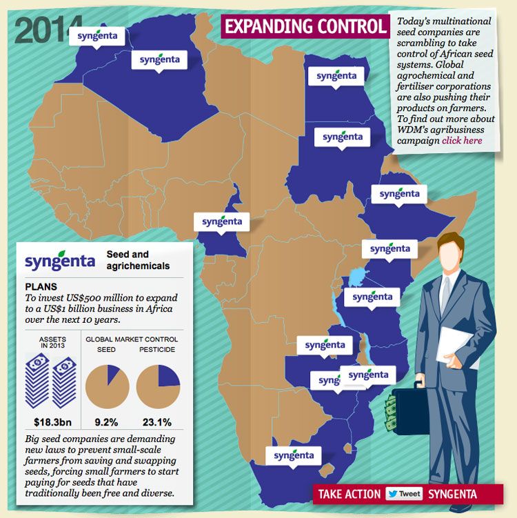 syngenta scramble1.jpg